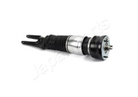 Pneumatic strut