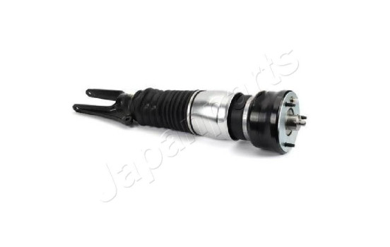 Pneumatic strut