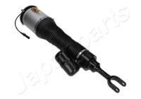Pneumatic strut