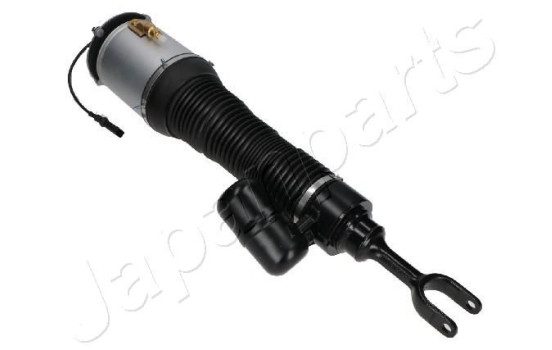 Pneumatic strut