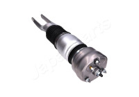 Pneumatic strut