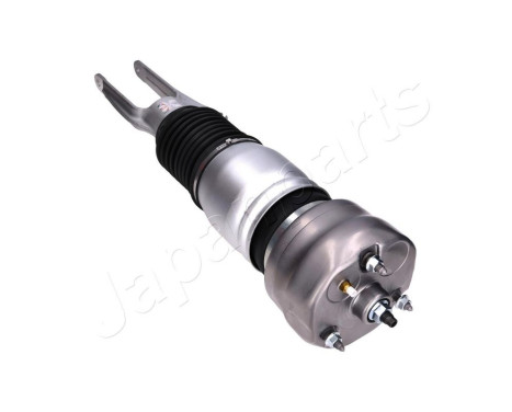Pneumatic strut