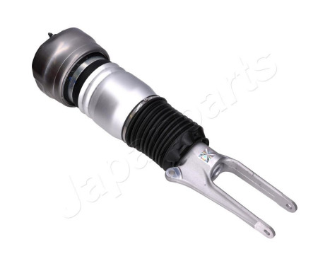 Pneumatic strut, Image 2