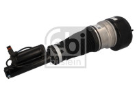 Pneumatic strut