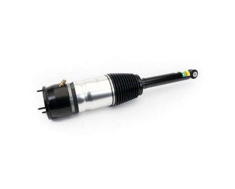 Pneumatic strut
