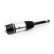 Pneumatic strut