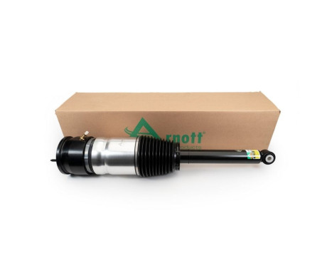 Pneumatic strut, Image 3