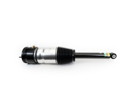 Pneumatic strut, Image 4