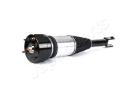 Pneumatic strut