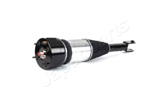 Pneumatic strut