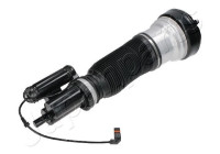 Pneumatic strut