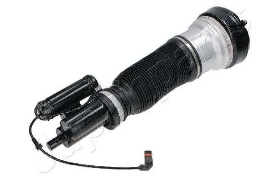 Pneumatic strut