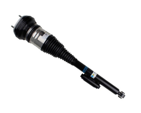 Pneumatic strut
