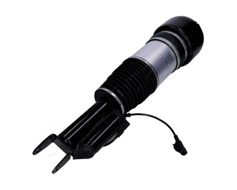 Pneumatic strut, Image 2