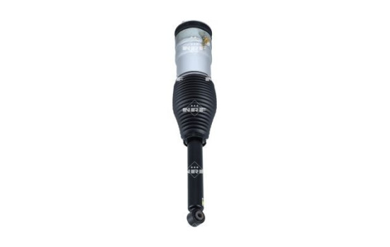 Pneumatic strut