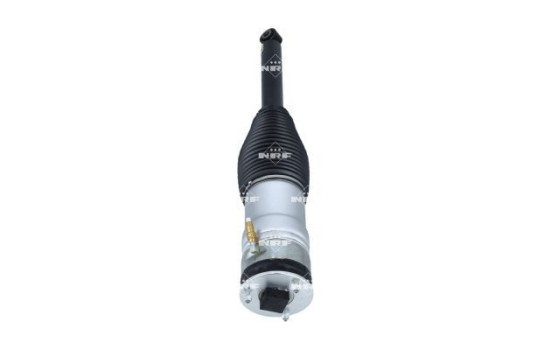 Pneumatic strut, Image 3