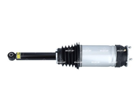 Pneumatic strut, Image 2