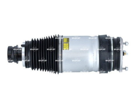 Pneumatic strut, Image 2