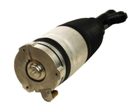 Pneumatic strut