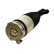 Pneumatic strut
