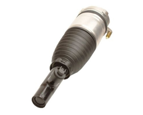 Pneumatic strut