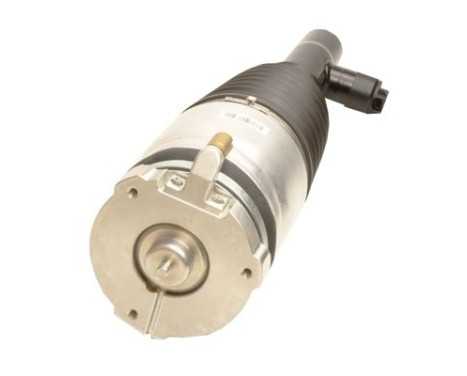 Pneumatic strut, Image 2