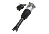 Pneumatic strut