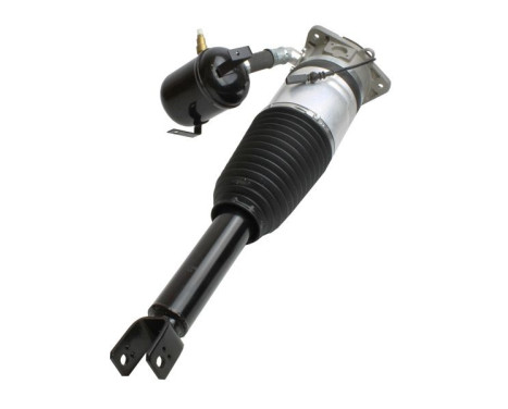 Pneumatic strut