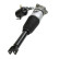 Pneumatic strut