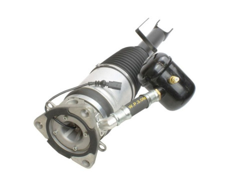 Pneumatic strut, Image 2
