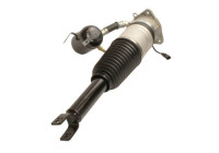 Pneumatic strut