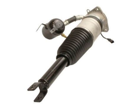 Pneumatic strut