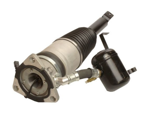 Pneumatic strut, Image 2