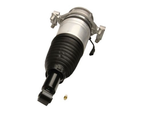 Pneumatic strut