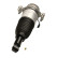 Pneumatic strut
