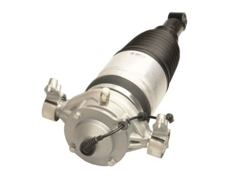 Pneumatic strut, Image 2