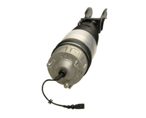 Pneumatic strut, Image 2