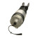 Pneumatic strut, Thumbnail 2