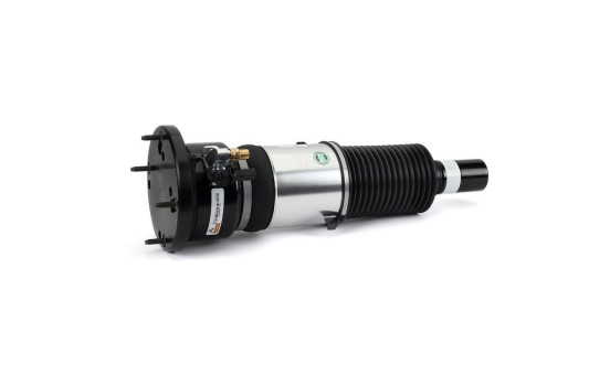 Pneumatic strut