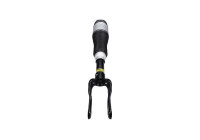 Pneumatic strut