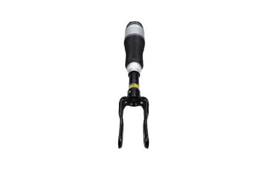 Pneumatic strut