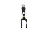 Pneumatic strut