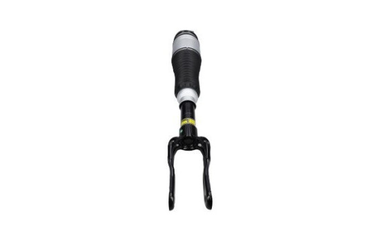 Pneumatic strut