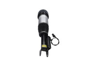 Pneumatic strut