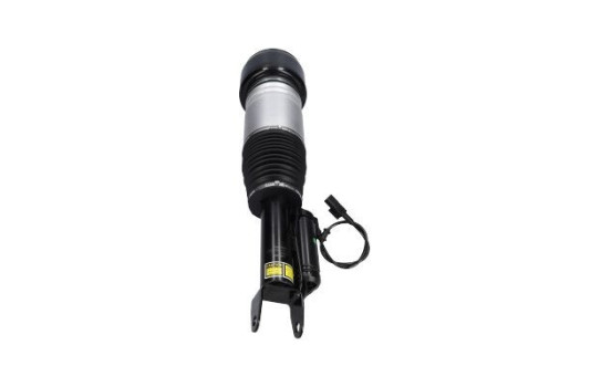 Pneumatic strut