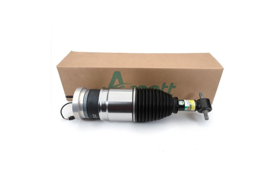 Pneumatic strut, Image 3