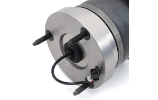 Pneumatic strut, Image 5