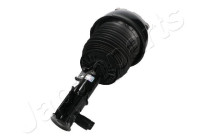 Pneumatic strut