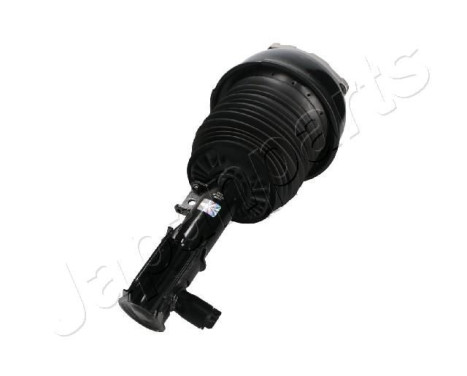 Pneumatic strut