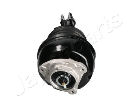Pneumatic strut, Image 2